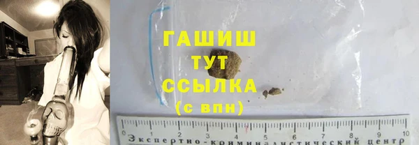 гидра Алексеевка