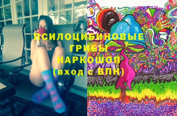 кокс Алексин